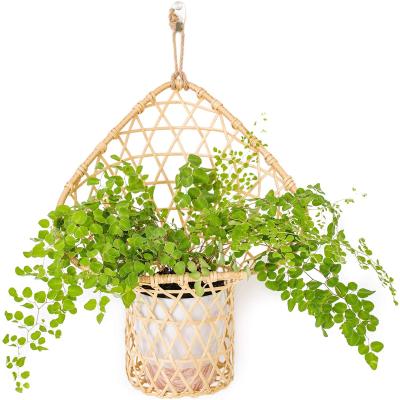 China Sustainable new design natural rattan wall hanging baskets for plants&flowers indoor outdoor for sale