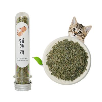 China Hot Sale Stocked Relieving Stress Catnip Kitty Nature Bottle Fresh Catnip Healthy Vigorous For Cats for sale