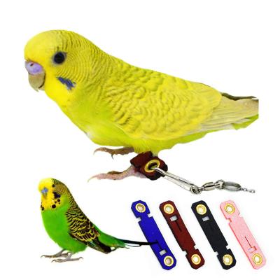 China Four Colors Durable Optional Comfortable Light Bird Leather Foot Ring Parrot Foot Buckle With Stainless Chain Soften Not Sore Feet Co for sale