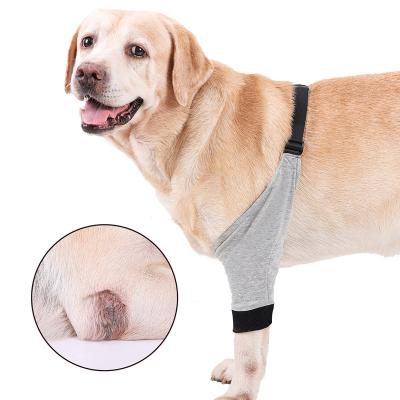 China For Dog Front Elbow Joint Protector Dog Leg Joint Brace Wrap, Dog Pet Leg Knee Protector Brace For Osteoarthritis Ligament Injury Arthritis And ED for sale