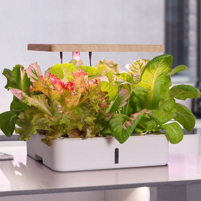 China Smart Plant Garden For Plants Indoor Smart Garden Hydroponic Smart Flower Planter for sale