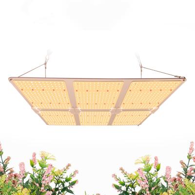 China Dimmable with button 600W led grow lighting/grow lights for greenhouse/led grow llight sulight for sale