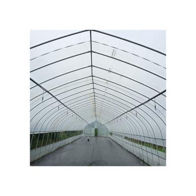 China Low Cost Plastic Sheet Steel Common Agricultural Covered Sawtooth Greenhouse for sale