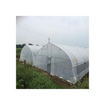 China Outdoor Film Factory Supply China Garden Greenhouses Direct for sale