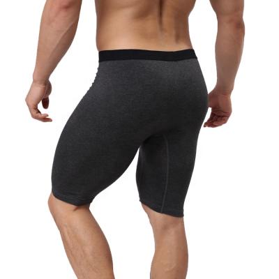 China Hot Selling Antibacterial Nylon Spandex Shorts Men Underwear Sexy Panties For Sport for sale