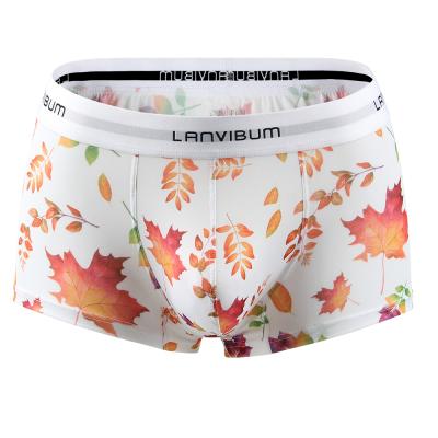 China Para Hombre Anti-Static Boxer Printed Underwear Men Cuecas Masculinas Print Men's Boxer Underwear for sale