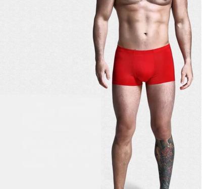 China Antibacterial hot sale nylon men's underwear boxers sexy underwear for gay men for sale