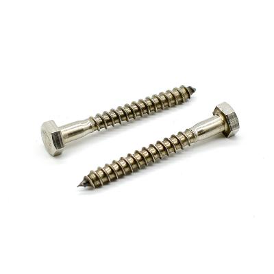 China HEX M6 Din571 300Mm Ss Stainless Steel Coach Screw Self Tapping Hexagon Flat Hex Head Wood Screws for sale