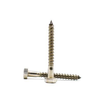 China HEX DIN571 m8 x 40mm m10 x 30mm short Stainless 304 Lag screw Wood Self Tapping Hex outdoor Coach Screws for sale