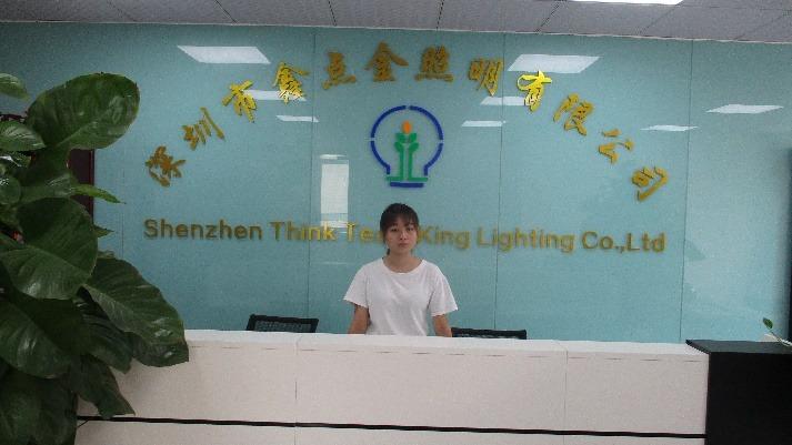 Verified China supplier - Shenzhen Think Team King Lighting Co., Ltd.