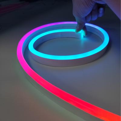 China Garden / Home Decoration or Sign / Building Accessible 12V RGB Led WS2812B WS2813 Flexible Neon Led Strips Light for sale