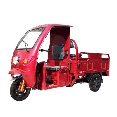 China Cheap Chinese Electric Vehicle 1000w Adults Motorcycle 3 Wheel Electric Cargo Tricycle For Cargo for sale