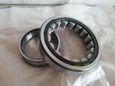 China Plastic Drum Packaging Roller Main Bearings Double Shielded NU1020 100*150*24mm for sale