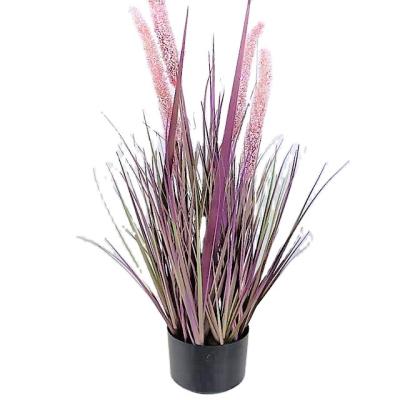 China Large Dry Artificial Potted Bonsai Minimalist Onion Grass Reed Purple Planta De Maceta Artificial Pampas Plant For Decoration for sale