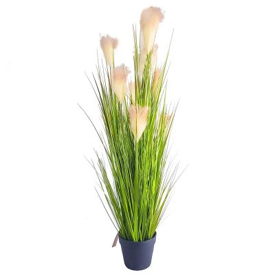 China Simple and natural Artificial Potted Pampas Grass Faux Fluffy Autumn Pompous Grass Bouquet Reed in Pot for Home Decor for sale