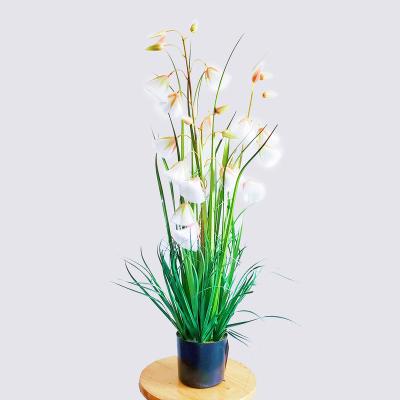 China Minimalist Artificial White Potted Faux Pampas Grass Pompass Grass Dried Reed Flowers In Pot Arrangements For Home Decor for sale