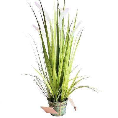 China Factory Wholesale High Quality Eco-friendly Artificial Dogtail In Pot Grass Faux Pampas Grass For Home Decor for sale