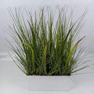 China Minimalist Artificial Plant Onion Grass Custom Artificial Wholesale Custom Simulation Flower Bonsai Plant Home Decoration Orname for sale