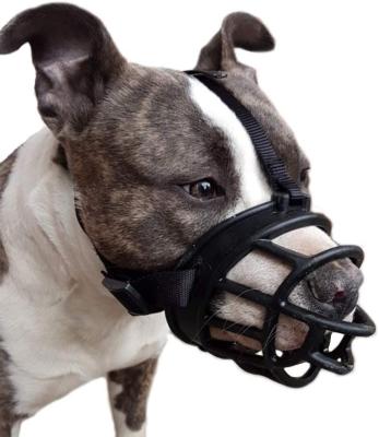 China 2021 New Arrival Design Dog Muzzle Bark Breathable Adjustable Stocked Breathable Plastic Muzzle Anti for sale