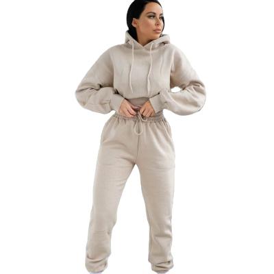 China Breathable Casual Women 2 Piece Sweatpants Lounge Sets Sports Top Wear Crop Sweatsuits Equipment Drawstring Hooded Sweatpants for sale