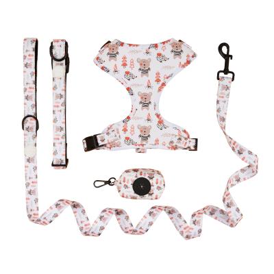 China Personalized Cute Dog Collar Lead Set XL Dog Leads For Big Dogs for sale