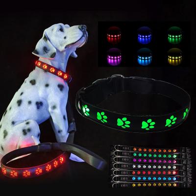 China Pet Supplies LED Dog Collar with Custom Logo USB Rechargeable Flashing Modes Slow Flash for sale