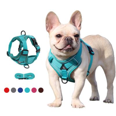 China Adjustable Breathable Dog Vest Safety 1.5m Traction Leash No Pull Dog Harness Set Personalized for Safe and Stylish Walks for sale