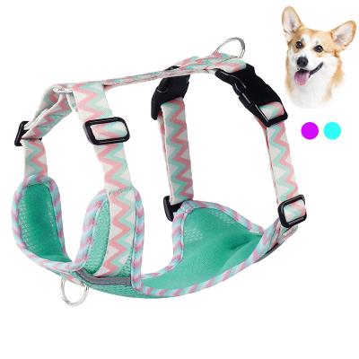 China Dog Leash Vest Pet Harness Reflective Strip Dog Chain Supplies with Custom Logo and Padded Design for sale