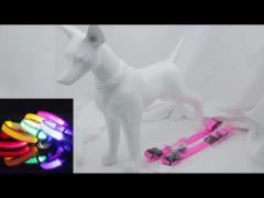 LED collar for pet