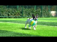 LED Flying Dog Ball Interactive Pet Toys Rubber Plastic Interactive Puppy Toys