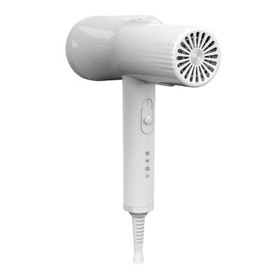 China High Speed Dog Hair Dryer With 3 Gears Temperature And LCD Dispaly for sale