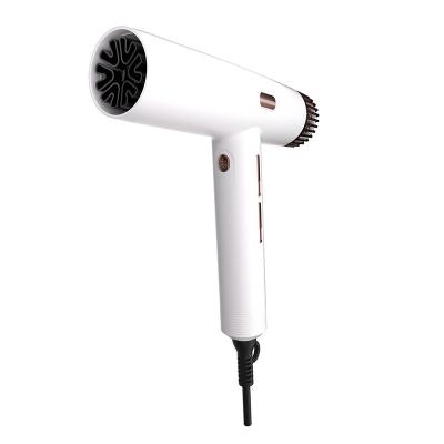 China Fast Drying High Speed Hair Dryer with 1800W Power and 20S Self Cleaning Function for sale