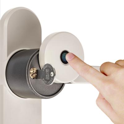 China European Simple Cheap Price Security Lock Anti-peep Code Style Lock Smart Fingerprint Lock for sale