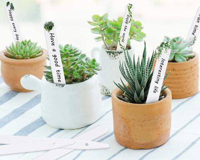 China Waterproof Plant Hanging Marker Tags Nursery Name Herb Label Gardening Plastic Plant Markers for sale