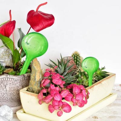 China Easy Operation Indoor&Outdoor Automatic Self Watering Aqua Globes Plant Self Watering Globe for sale