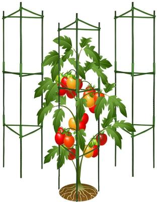 China Tomato Trellis Support Sticks Assembled Garden Plant Support Cages Plastic Tomato Cage For Garden for sale