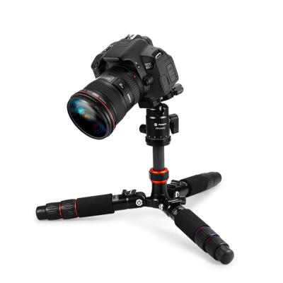 China Professional Fotopro Mini Carbon Fiber Tripod Flexible Light Weight For Camera for sale