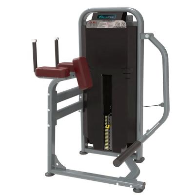 China Universal fitness equipment DFT1625 glute machine strength machine for bodystrong for sale