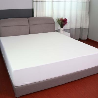 China Premium Tencel Waterproof Anti Dust Mite Mattress Protector Waterproof For Bedrooms for sale