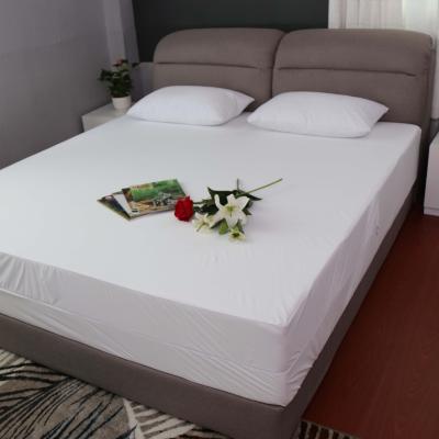 China Hotel Hospital 100% Zipper Style Waterproof Home Waterproof Mattress Encasement Protector Cover for sale