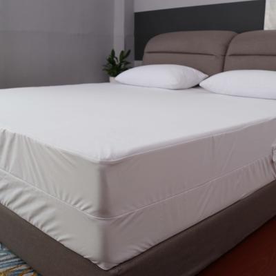 China Queen King Size Waterproof White Waterproof Mattress Encasement With Zipper for sale