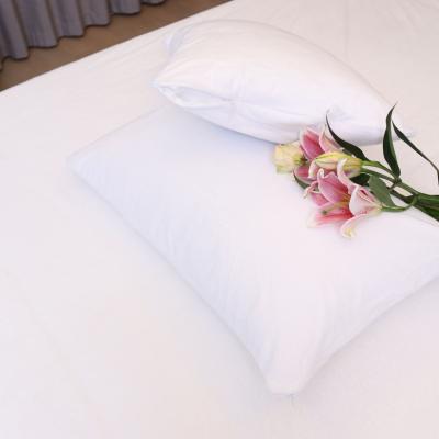 China Waterproof Cotton 100% Terry Waterproof Zippered Pillow Protector for sale