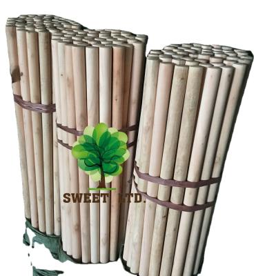 China Cleaning Tools 1.2m Eucalyptus Broom Natural Wood Stick Wooden Broom Handle for sale