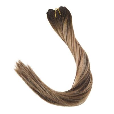 China Hot Selling Silky Straight Wave 30 Inch Clip In Hair Extensions for sale