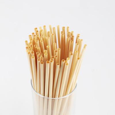 China Minimalist Fully Degradable Disposable Straws Individually Bundled Eco Friendly Biodegradable Wheat Straw for sale