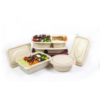 China Minimalist Eco-Friendly Compostable Biodegradable Biodegradable Bowl Food Bowls Box Disposable Tableware Containers for sale