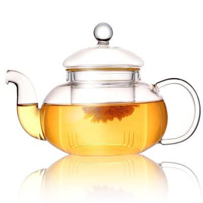 China Sustainable Premium Quality Teapot Gift Set Safe Glass Teapot Above Stove With Removable Loose Tea Glass Infuser for sale