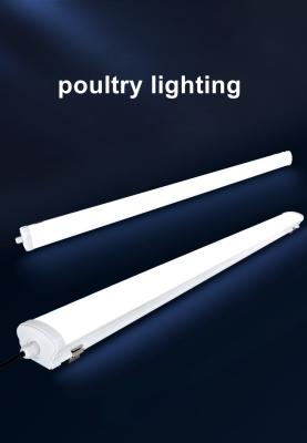 China Metro station new design shine poultry house led automatic lighting system poultry farm for sale