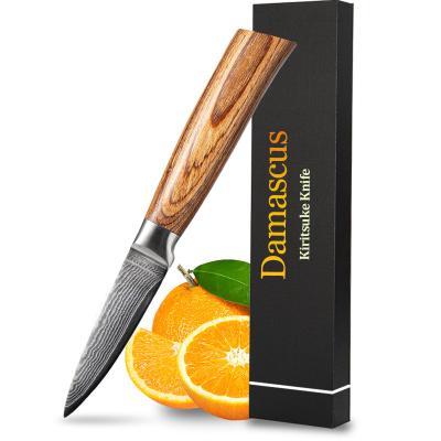 China Viable Kitchen Paring Knife Damascus Chef Paring Fruit Vegetable Knife Pakka Steel Wood Handle 3.5 Inch Damascus Paring Knife for sale