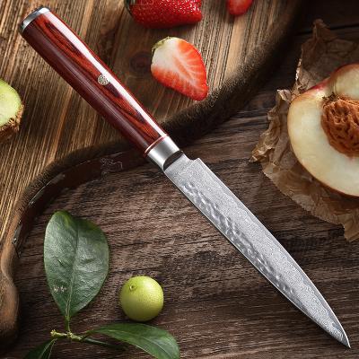 China Viable Steel Professional Chef Serving Knife Damascus Steel Professional Chef Pakkawood Handle Sashimi Filleting Sashimi Carving Knives for sale